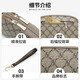 鳄鱼恤双拉链手腕包经典老花休闲女士手包礼物送老婆2235卡其