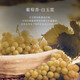 Paiston French importierten ausländische Wein, Golden Gourd XO Brandy 40 Spirituosen, importierter Rohwein, 700 ml Single Geschenkbox