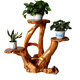 XMSJ Wurzelschnitzständer neuer chinesischer Wurzelschnitzständer Balkon Bonsai Stand Mehrschicht Gesamtmaserholzbaum Wurzel Chinesische natürliche Ursprung 16873 Doppelschicht