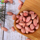 Jingxiansheng Shandong Specialty Big Peanut Rice 2025 New Peanut Rice Large Grain Raw Peanut Rice 2Jin Jin is equal to 0.5 kg Export-grade fresh vegetables