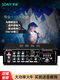 Sony Euro SA-1600 home KTV amplifier high-power audio Bluetooth AV amplifier professional hot-grade hifi conference new mini 2.0 fixed-impedance public amplifier combined power 200W (KTV mid-pack sound effect)