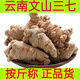 云南文山春三七整个野生田七中药材批发价无打蜡三七头三七花泡水 三七头250克