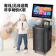 Manlong square dance audio high-power wireless microphone bluetooth musical instrument internet celebrity live broadcast mobile outdoor high-end karaoke machine singing trolley speaker W-15S audio dual microphone + gift package