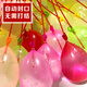 Mo Douyu Water Balloon Water Polo Quick Water Injection Balloon Summer Children's Water Battle Artifact Small Water Balloon Balloon Water Bullets 333