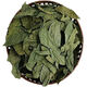 Xiushui Wildgrün und Qian Liu Tea Qingjin Geld Spezielle Grade Ancient Tree Tender Blätter Originalblätter mittleren und älteren Gesundheitstee One Jin [Jin entspricht 0,5 kg] 500 Gramm Originalblätter