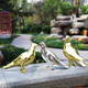 Juyanghui simulated pigeon ornaments, animal sculptures, imitation stainless steel, copper birds, swallows, outdoor courtyard garden interior decorations, silver electroplating style 3