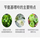 5% Benzylaminopurine Fruit Tree Promotes Bud Differentiation Preserves Flowers and Fruit Expansion Cytokinin Growth Adjustment 500ml*3 Bottles