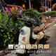 
Shijiu Electric Vehicle Q90C Accessories Windshield Q80C/30C Foot Pad Rear View Mirror Baby Chair Storage Pack Modification Q Series Universal Folding Baby Chair
