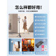 Cen Mi Super Mini Selfie Stick Travel tragbar 2024 Neue universelle bodenstörende Stativ-Mobiltelefonfotografie Artefakt 360 Grad rotierende Multifunktionsbluetooth Anti-Shake-Stand Handheld A 0,8 m-Black [Self-Photo-Modell] Handheld Selfie