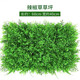 Huawoli simulated lawn (encrypted eucalyptus 40*60) plant wall green plant wall fake lawn turf background wall decoration