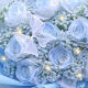 
Love Flowers Express Flower Gift Broken Ice Blue Rose Birthday Gift Girlfriend Wife Gift Girl Bouquets Same City Delivery Hour Da [Star Love] 11 dy679