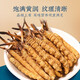 鹿章堂藏曲精品虫草1克装  断虫草断草冬虫夏草自食买1克装可自选 西藏那曲高海拔虫草2条一克装 1克装