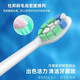 樱也适配飞利浦电动牙刷头HX681P/HX681E/HX681A/HX681U/HX681G/HX682P/HX680B/HX6805替换头 白色呵护型6支装【软毛】