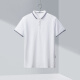 HLA Hailan House basic pique short-sleeved POLO summer solid color casual POLO shirt HNTPD2Q041A bleached (41) 180/96Y (52)