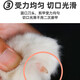 Huanpet.com cat nail scissors, cat nail clippers, cat claw scissors, pet nail clippers, kitten and kitten anti-shear blood line special artifact