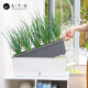 Nine Thousand Grain Vegetable Basin Rectangular Home Planting Pot Vegetable Plastic Long Strip Flower Pot Tank Double-layer Thickened Small 6195