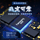 Fanxiang S690MQ SSD Solid State Drive M.2 Schnittstelle (PCIE4.0x4) Anpasset an PS5 Laptop AI Computer Storage Zubehör 2TB [Lesegeschwindigkeit 5000MB/s Graphit -Wärme -Dissipation]