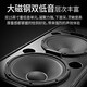 威斯汀（WESTDING）专业舞台全频音响套装大功率双15英寸无源音箱大型户外演出婚庆会议广场酒吧工程KTV演出 2018+9900+DSP800+K9S