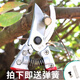Stainless steel powerful gardening pruning shears for household use labor-saving flower pruning branches flower art scissors (14116) Stainless steel powerful pruning shears