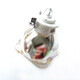 
Tuoguang original projector lamp adapted to Viewsonic Youpai RLC-103 Pro8520WL original lamp without lamp holder VS17081
