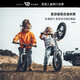 EARLY RIDER英国儿童平衡车无脚踏自行车滑行车1-3岁2-6岁宝宝溜溜滑步车 12寸 B银色