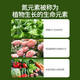 Basemanwei Urea Nitrogen Fertilizer Flowers, Vegetables and Fruit Trees Potted Planting Cauliflower Household Potted General Fertilizer Chemical Fertilizer Compound Fertilizer Urea (Nitrogen Fertilizer) 10Jin Jin is equal to 0.5 kg