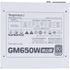 XING (SEGOTEP) GM650W ICEBERG EDITION Medalla de oro Módulo completo Potencia (Medalla de oro 80Plus/línea de módulo blanco/Soporte de la tarjeta gráfica 5060TI/Fuerza de alimentación de la caja del host de la computadora de escritorio ancho)
