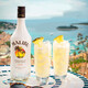 
Malibaoyang wine, original imported rum in Spain, Caribbean coconut rum preparation wine, 700ml fruity spirits, 700mL, 1 bottle