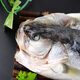 Sandu Port Frozen Sanlu Sea Bass 1Jin Jin is equal to 0.5kg 1 piece (free package) Deep sea fish Fresh fish Seafood New Year's goods