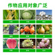 Guoguang Pesticide Naphthalene Acetate Plant Growth Regulator Flower Preservation and Fruit Preservation Medicine Prevent Fruit Falling Fruit Tree Flower and Fruit Treasure 100ml