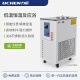 力辰科技（lichen）低温恒温反应浴实验室磁力搅拌内外循环泵制冷 5L/-4099LC-DFY-5/40