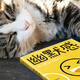 
Quickly Fast Tomorrow Has a Satisfaction and Become a More Popular Person by Li Xin Jia Ling** Quickly Improve Expression Communication CITIC Publishing House Reading Carnival Book Festival 13916