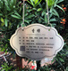 The province's excellent tree sign custom-made stainless steel metal green plant greening sign courtyard flowers and trees introduction adoption plug-in sign 10 stainless steel 10*12