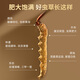 Lei Yun Shang Cordyceps sinensis 3.2 Roots/G 10g Alrededor de 32 cajas de regalo Cordyceps Cajas de regalo para el líder y los ancianos