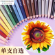 霹雳马prismacolor彩铅单支补色150高光人像肤色油性单只黑色白色绘画美 1098