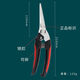 Flowers and scissors, sparse flowers, fruits and scissors, floral scissors, household flowering scissors, pruning scissors, gardening scissors, grapes, round style #T9853