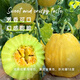 Long-cultivation ugly thin-skinned cantaloupe seeds spring and summer prismatic melon seeds golden melon seeds fruit and vegetable seeds collection Ugly thin-skinned cantaloupe 5g * 2 packs