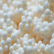 
Ziyingcha clean product HPD100/400/600/722/826/100C macropore adsorption resin Scientific research reagent HPD100 macropore adsorption resin 500g