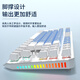 前行者TK870有线机械键盘游戏办公键盘拼色RGB侧光灯有线87键客制化热插拔游戏电竞台式电脑笔记本办 白蓝-白光【全键热插拔】有线