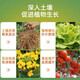 Yuntianhua Phosphate Fertilizer Granules Superphosphate General Flowering Fertilizer Household Fruit Tree Vegetable Green Plant Compound Fertilizer 100 Jin Jin equals 0.5 kg Phosphate fertilizer (high concentration) 5 Jin Jin equals 0.5 kg
