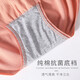 Coton Pleasant Women's Underwear's Women's Pure Cotton Bottom Gotch Antibactérien Girls High Wistre Modal Breathable et Briefs sans trace Couvrant les fesses et le ventre 4 A Abricot + Green + Gray + Caramel 4 bandes régulières (90-155Jin [Jin est égal à 0,5 kg]))