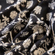 Cypress House Sospecher Falda floral 2024 Vestido suelto de estampado de playa de verano