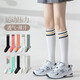 Jincheng Sports Choques de veau pour les femmes au printemps Les muscles de fitness professionnels peuvent comprimer la corde de saut de pression fonctionnant les bas WZ-701 auto-sélectionnés 2 paires de messages [deux paires] toutes les tailles