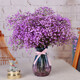 AIMAN Gypsophila Natural Dried Flower Bouquet Ins Internet Celebrity Birthday New House Decorative Ornaments Air-Dried Real Flower Arrangements Home Furnishings Purple Gypsophila With M Vase