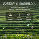华祥苑茶叶礼盒特级武夷岩茶大红袍乌龙茶迎宾茶250g礼品送礼礼物
