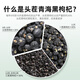 250 g de Qilixiang Black Wolfberry, Qinghai Qaida Wood Stubble fruta picada para padres, productos secos, gotos de compra del grupo de té salud