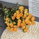 AIMAN flowers real flowers multi-headed small roses dried flowers Yunnan air-dried DIY small fresh ins bouquet living room decoration ornaments stunning bubbles 10 pieces dried flower bag