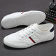 Shanbu Canvas Schuhe Herren-Schnüre Frühling und Herbst Low Top Atmungsfreie, vielseitige, koreanische Boardschuhe Flat Heel Fahren Sie lässig einfache weiße Schuhe Männer Weiß (9272) Größe 42