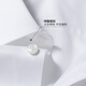 Shanshan DP no-iron 80-count pure cotton long-sleeved shirt men's business casual striped skin-friendly anti-wrinkle men's shirt