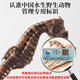 Qi Xiaofeng Haima Médicaments médicinaux [certification CAWC] Grand cheval de mer mâle et femelle une paire de biens secs Haima Hailong combinant du vin matériaux médicinaux 1 paire 2 (total supérieur à 6g)